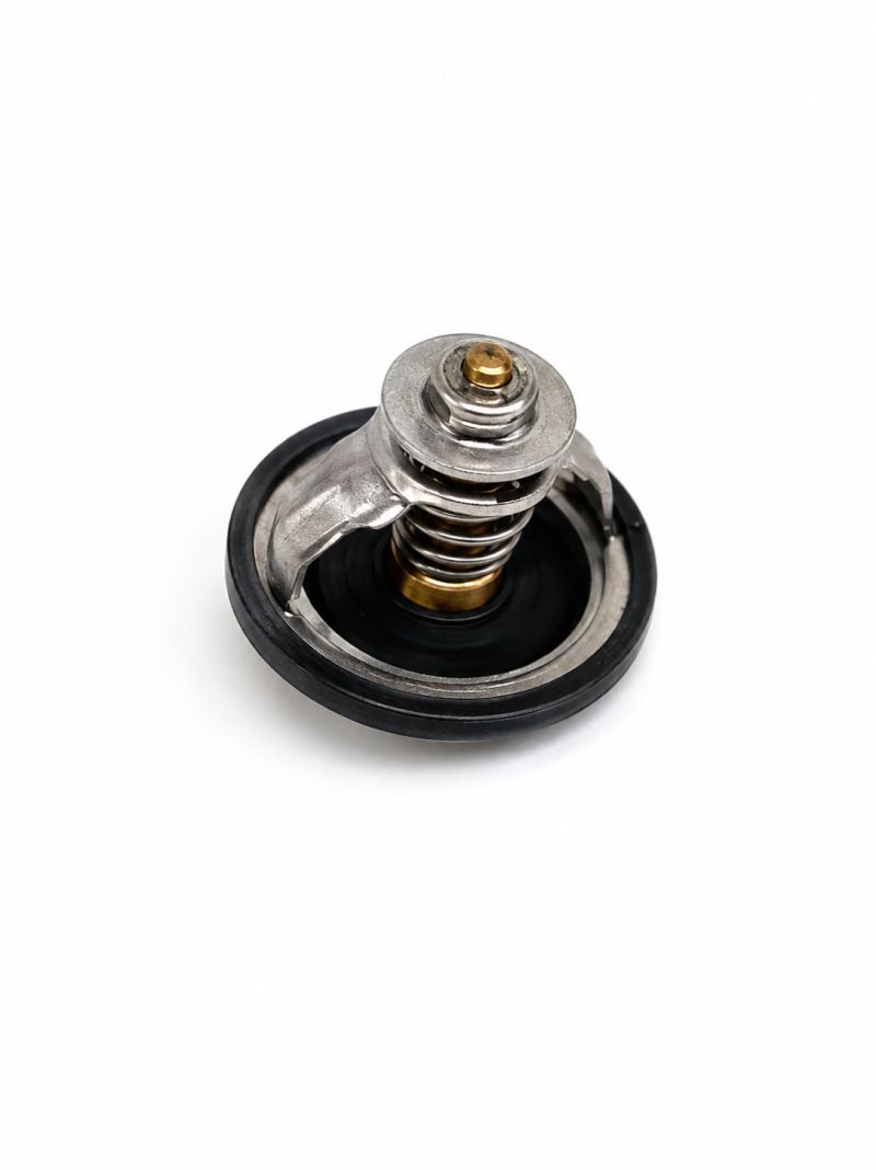 FPT OEM Thermostat – FPT N67 Series Engines